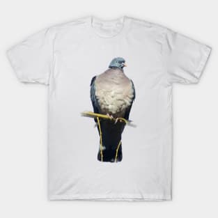 Pigeon Perch T-Shirt